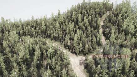 Sirgotcha National Forest for MudRunner