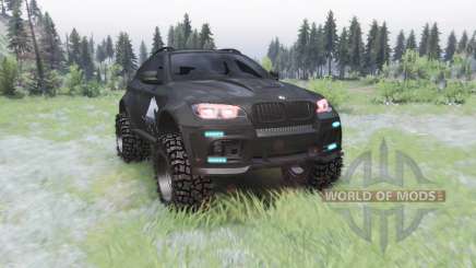 BMW X6 M (E71) BORZ for Spin Tires