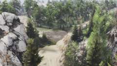 Mountain forest for Spin Tires