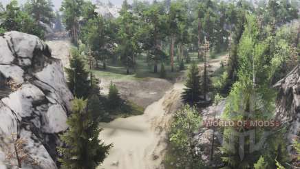 Mountain forest for Spin Tires