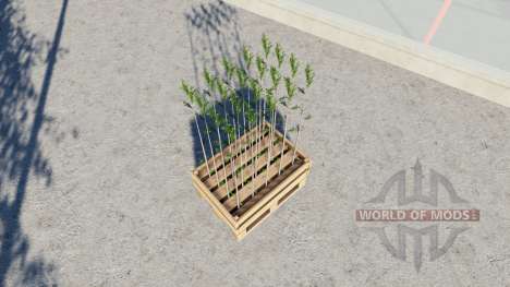 The tray of sixty tree seedlings for Farming Simulator 2017