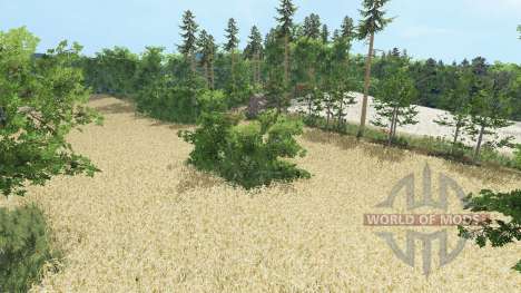 Radzany for Farming Simulator 2015