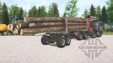 MAN TGS 8x8 for Spintires MudRunner