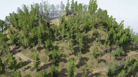 Take the Forest 11 for Spintires MudRunner