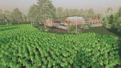 Staropolska Wies for Farming Simulator 2017