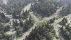 Forest Plains for Spin Tires