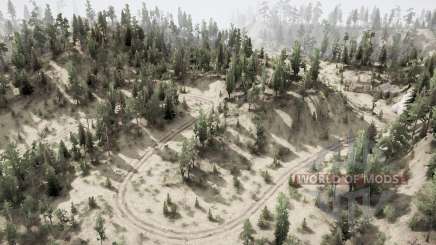 Forest Ձ for MudRunner