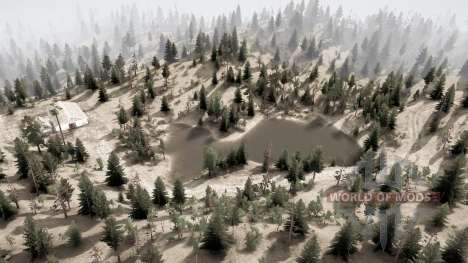 Bronislaw Forest for Spintires MudRunner