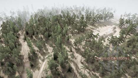 Forest Roads 2021 for Spintires MudRunner