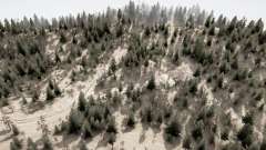 Bronislaw Forest for MudRunner