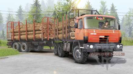 Tatra T815〡adass own cargo for Spin Tires