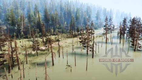 Through the  Swamp for Spintires MudRunner