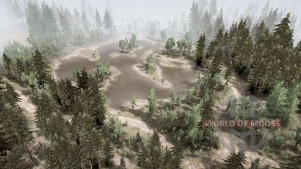 Old  Forestry for MudRunner