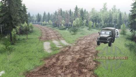 Forest  Roads for Spin Tires