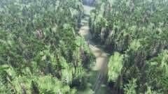 Anninsky Forest for Spin Tires