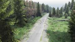 Map Forest for Spin Tires