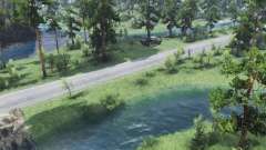 Small  river for Spin Tires
