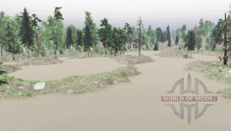 Map Swamps for Spin Tires