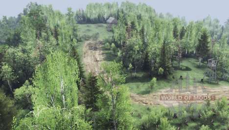 Forestry  Pushkino for Spin Tires