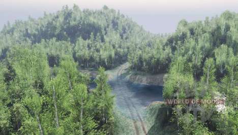 Russian   Forest for Spin Tires