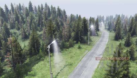 Map   Forest for Spin Tires