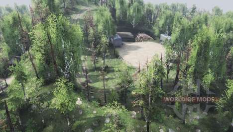 Map     Forest for Spin Tires
