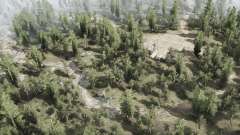 Birchwood  Outlands for MudRunner