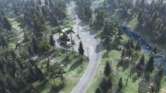 Forest  Transit for Spin Tires