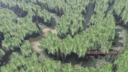 Siberian  Forest for Spin Tires