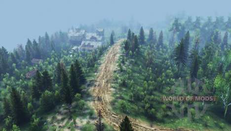 Mixed Forest for Spin Tires