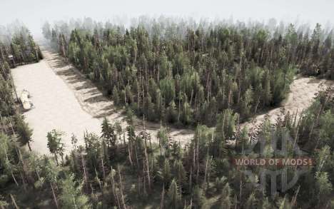 In The  Forest for Spintires MudRunner