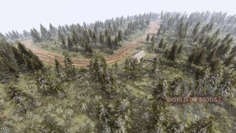 Map          Forest for Spin Tires