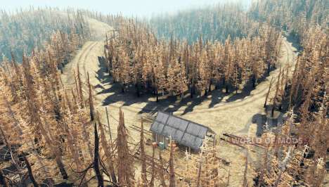 Ashen Forest for Spin Tires