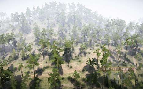 Cedar  Highlands for Spintires MudRunner