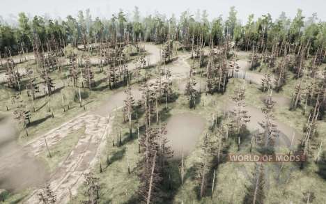 Well, the roads for Spintires MudRunner