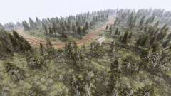 Map          Forest for Spin Tires