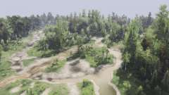 Forest  Plains for Spin Tires