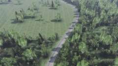 Map      Forest for Spin Tires