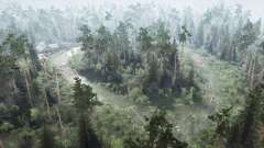Swampy Forest  2 for MudRunner