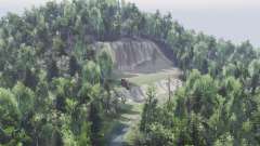 Map    Forest for Spin Tires