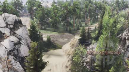 Mountain  Forest for Spin Tires