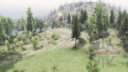 Spooky      Forest for Spin Tires