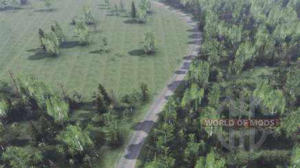 Map      Forest for Spin Tires
