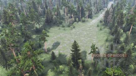 Forest  Game for Spin Tires