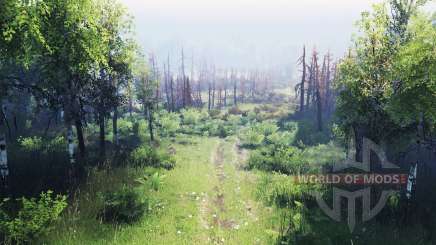 The Belarusian  Outback for Spin Tires