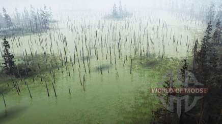 Swamp Trail for MudRunner