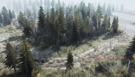 Rare  Forest for Spintires MudRunner