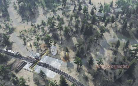Forest   Terminal for Spin Tires