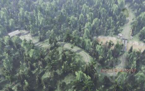 Large  Forest for Spin Tires