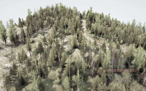 Where did the  firewood for Spintires MudRunner